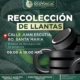 Recollecion de llantas