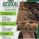 La Presidencia Municipal de Ocoyoacac, a través de la Dirección de Desarrollo Económico, te invita al Curso de Ocoxal impartido por el maestro Eulalio Reyes. ¡No te pierdas la oportunidad de aprender de un experto y perfeccionar tus habilidades en esta técnica!